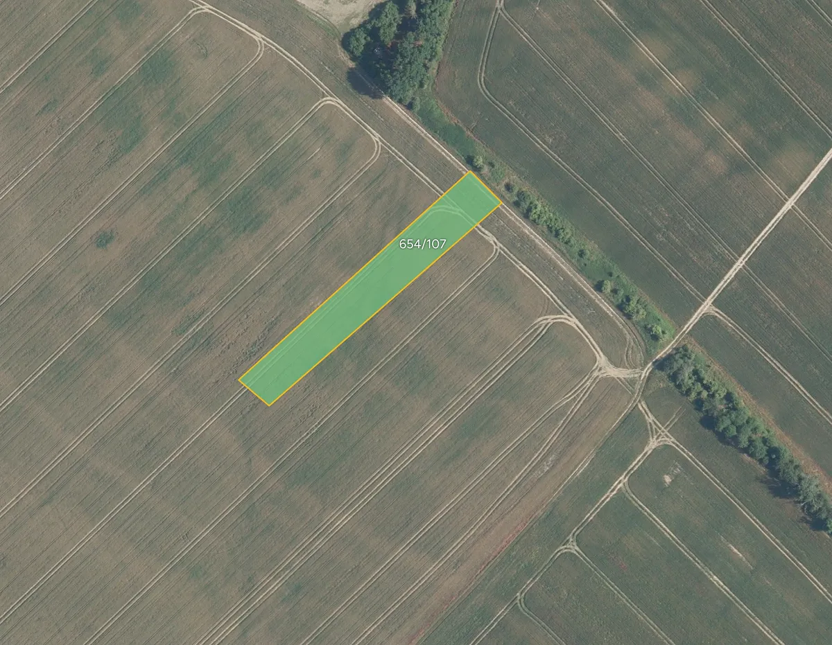 Prodej pole 2875 m²